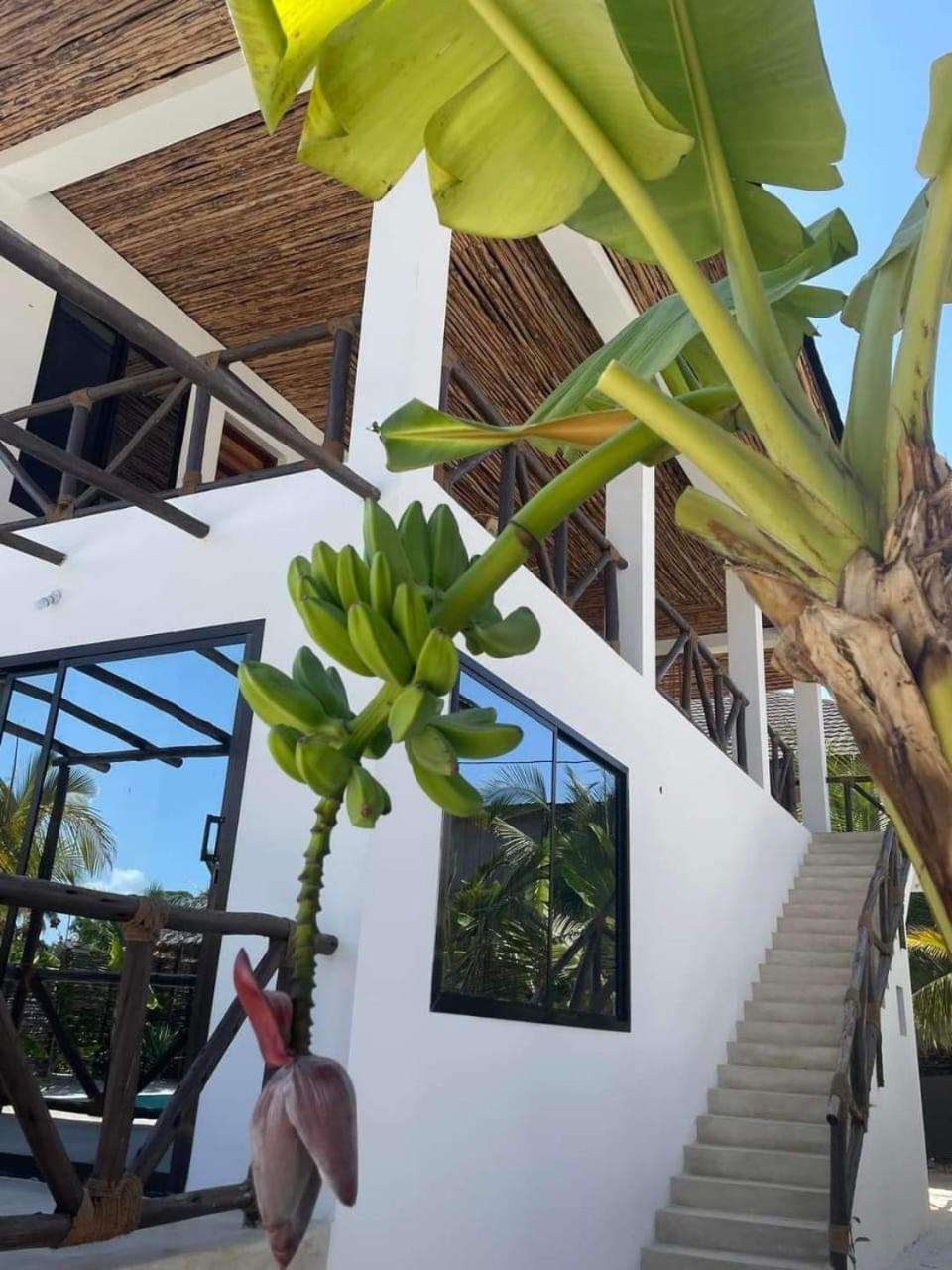 Sand Beach Boutique Villas Bwejuu Extérieur photo
