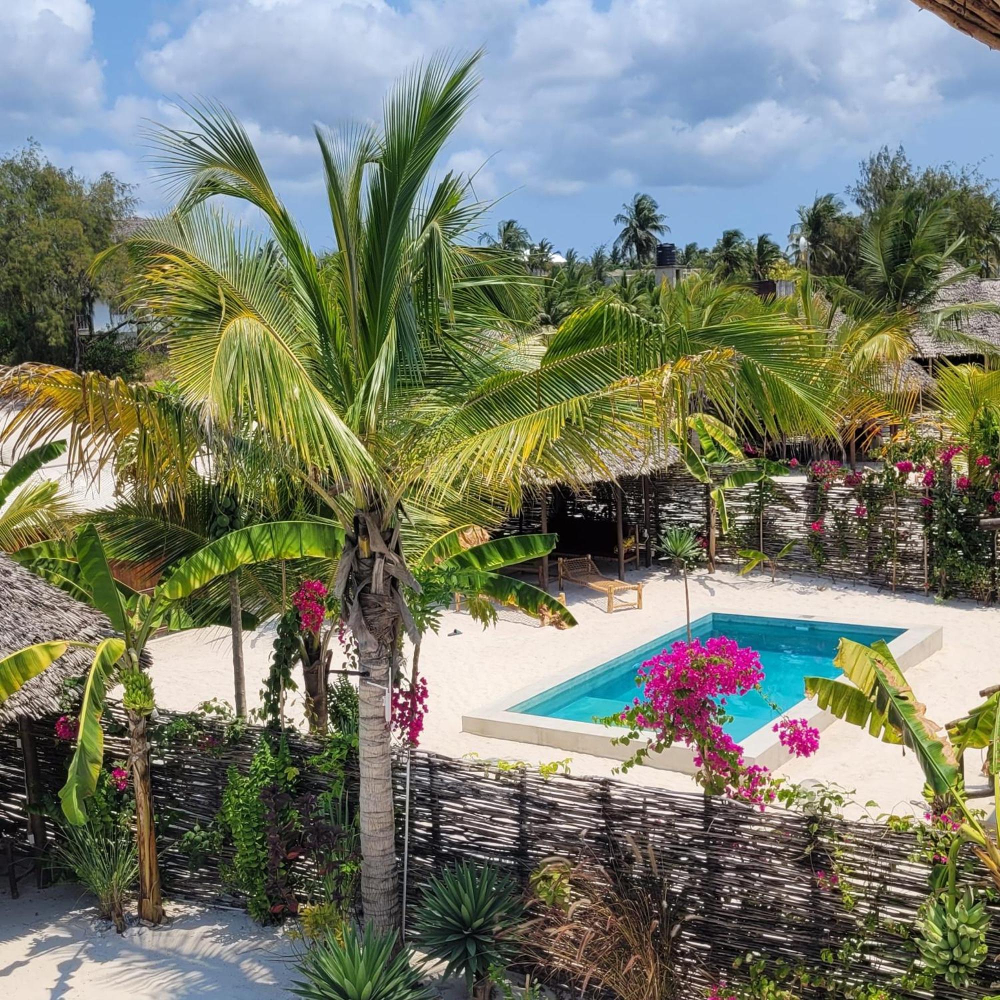 Sand Beach Boutique Villas Bwejuu Extérieur photo