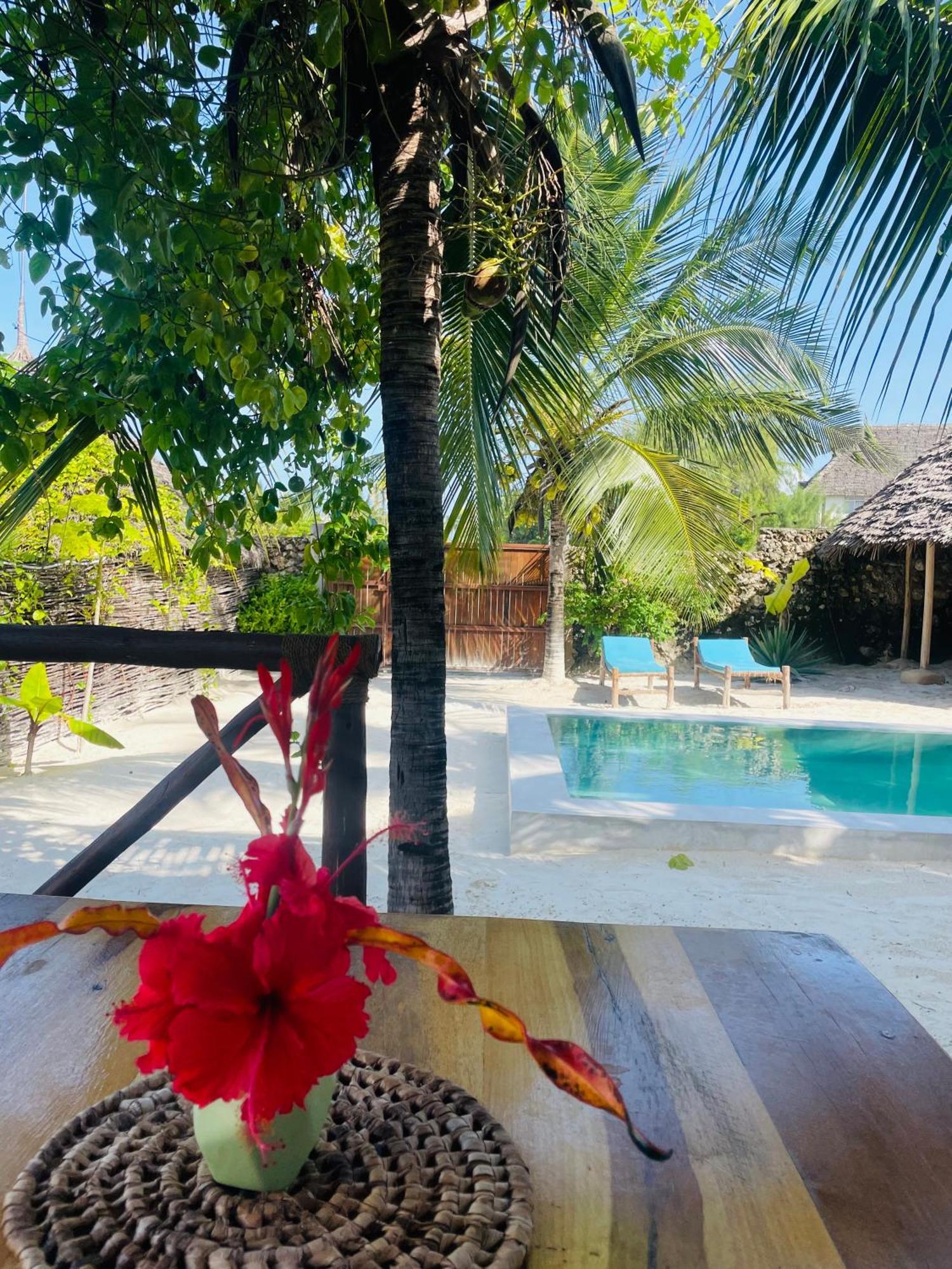 Sand Beach Boutique Villas Bwejuu Extérieur photo