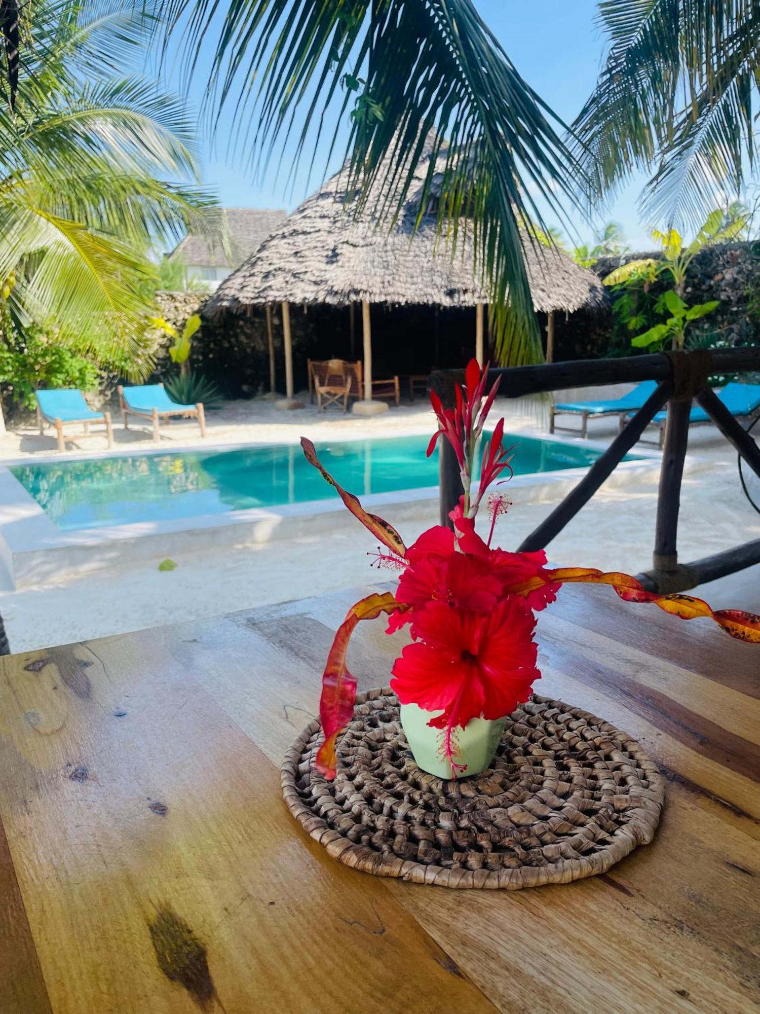 Sand Beach Boutique Villas Bwejuu Extérieur photo